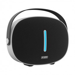Wireless Bluetooth Speaker W-KING T8 30W (black)