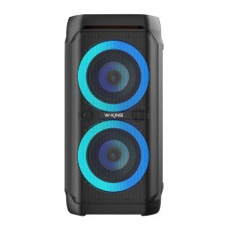 Wireless Bluetooth Speaker W-KING T11 100W (black)