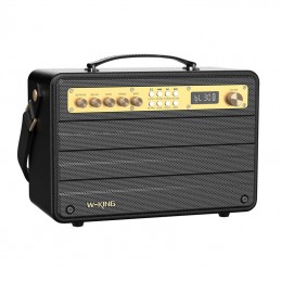 Wireless Bluetooth Speaker W-KING K6S 100W (black)