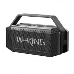 Wireless Bluetooth Speaker W-KING D9-1 60W (black)