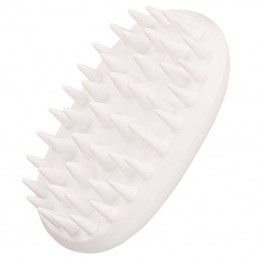 Paw In Hand Brush Candy (White)