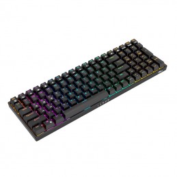 Mechanical keyboard Royal Kludge RK100 RGB, Red switch (black)