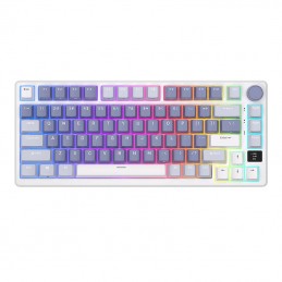 Mechanical keyboard Royal Kludge RKM75 RGB, Silver switch (blue)