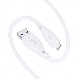 USB-A to Lightning Cable Ricomm RLS004ALW 1.2m