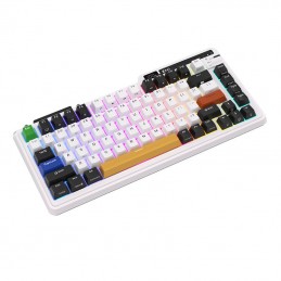 Mechanical keyboard Royal Kludge KZZI K75 pro RGB, Eternity Switch  (black and white)