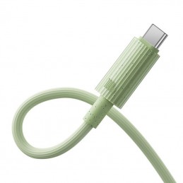 Fast Charging cable Baseus USB to USB-C Habitat Series 1m 100W (green)