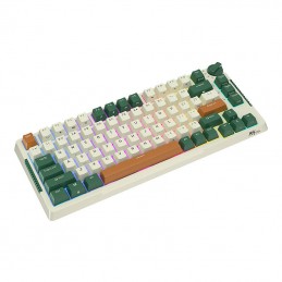 Mechanical keyboard Royal Kludge RKH81 RGB, Sky cyan switch (green)
