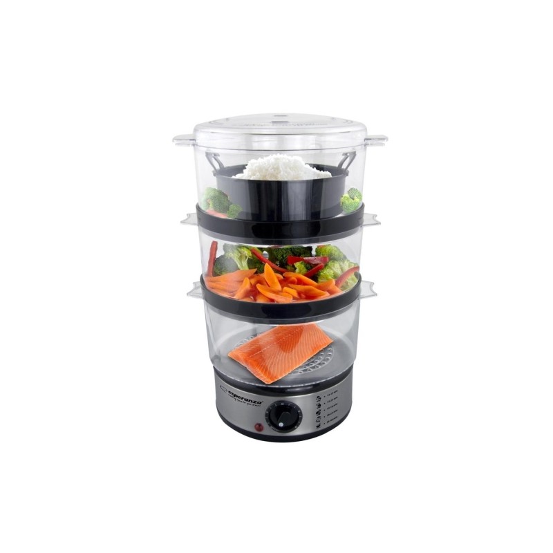 Esperanza EKG009 STEAMER 400W