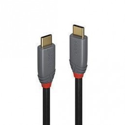 CABLE USB3.2 C-C 1M/ANTHRA...