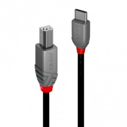CABLE USB2 C-B 3M/ANTHRA...