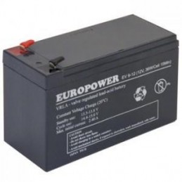 BATTERY 12V 9AH VRLA/EV9-12...