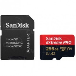 MEMORY MICRO SDXC 256GB...