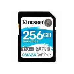 MEMORY SDXC 256GB...