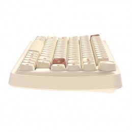 Mechanical keyboard Dareu Z82 Bluetooth + 2.4G (brown)